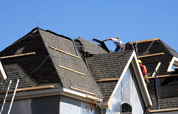 Roof Gutter Cleaning in Foley, AL